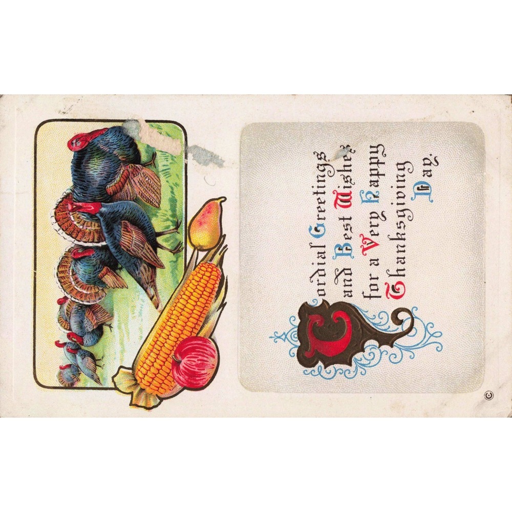 Antique Thanksgiving Postcard Turkeys Corn Fruit Series 253 B Divided Back G - Picture 1 of 2
